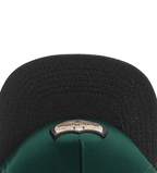 Cayler & Sons Green Snapback Cap