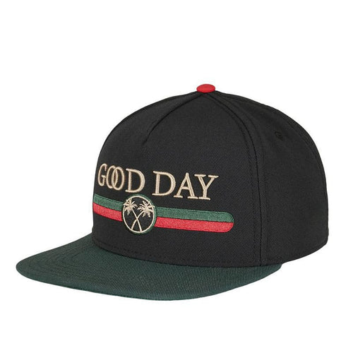 Black Snapback Cap back view
