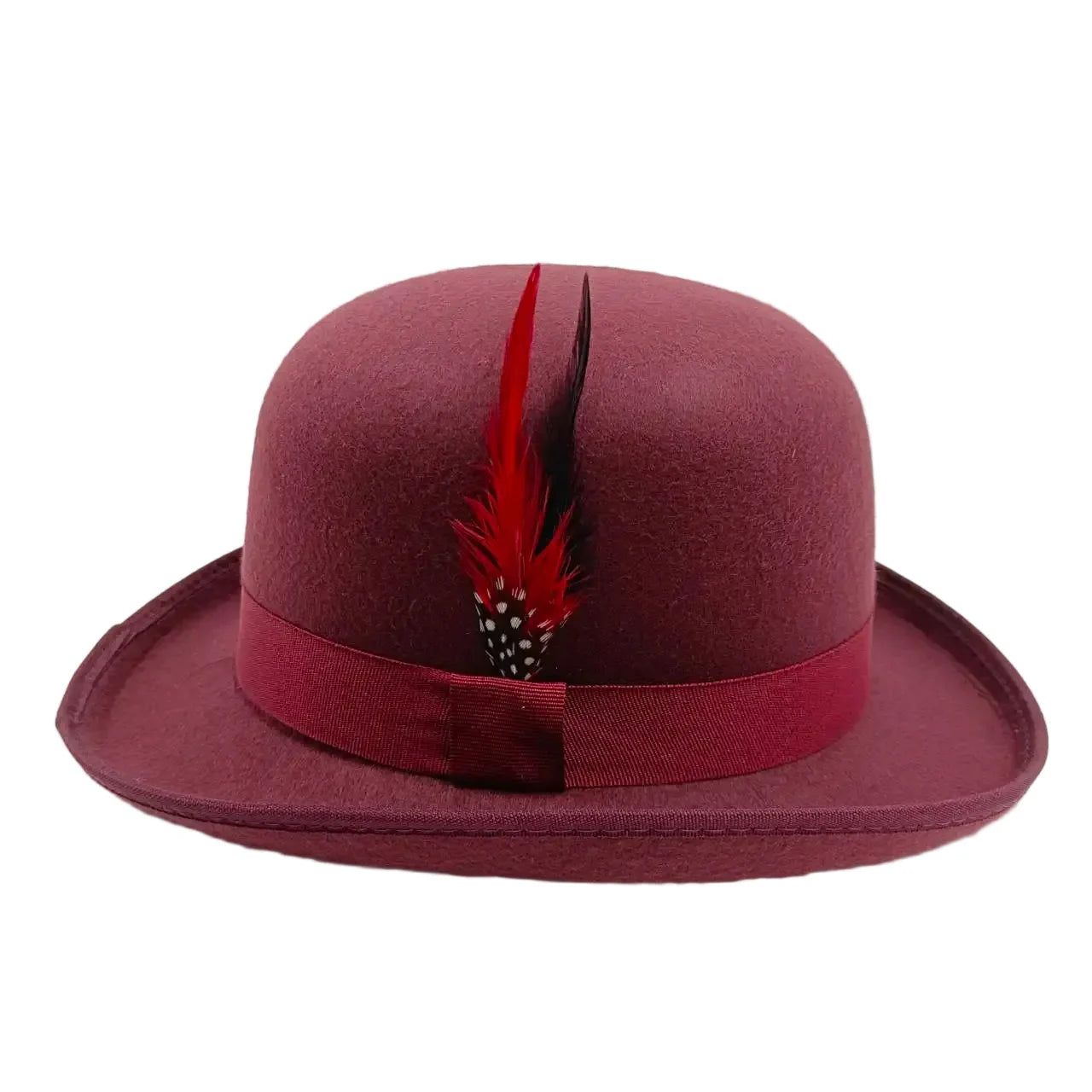 Linegard Retro Feathers Bowler Hat