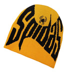 Spidas Winter Knitted Beanie