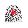 Spider Web Halloween Beanie